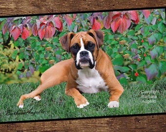 Boxer Dog Door Mat, Boxer Dog Gift, Boxer Dog Floor Mat, Boxer Dog Art