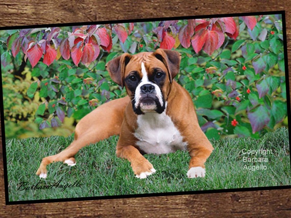 Boxer Perro Doormat Boxeador Perro Regalo Alfombra De Piso Etsy