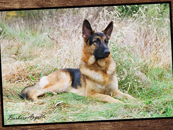 German Shepherd Doormat German Shepherd Gift German Shepherd Floor Mat German Shepherd Art German Shepherd