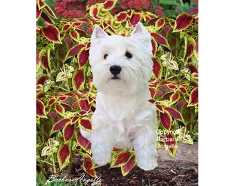 Westie Flag, Westie Gift, Westie Art, Westhighland White Terrier