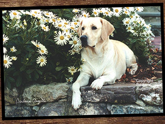 yellow lab doormat