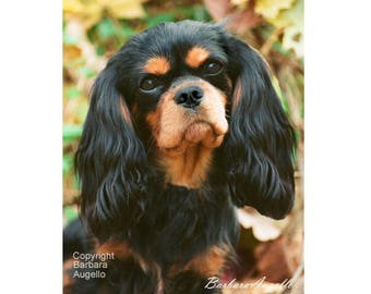 Cavalier King Charles Spaniel Flag, Cavalier King Charles Spaniel Gift, Cavalier Black and Tan, Cavalier King Charles Spaniel