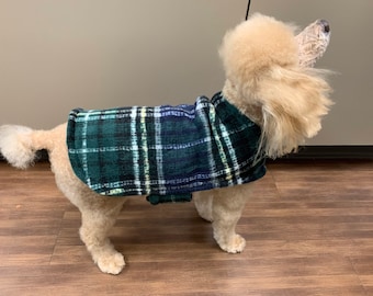 May include: A small, light brown dog wearing a green, blue, and white plaid fleece coat.