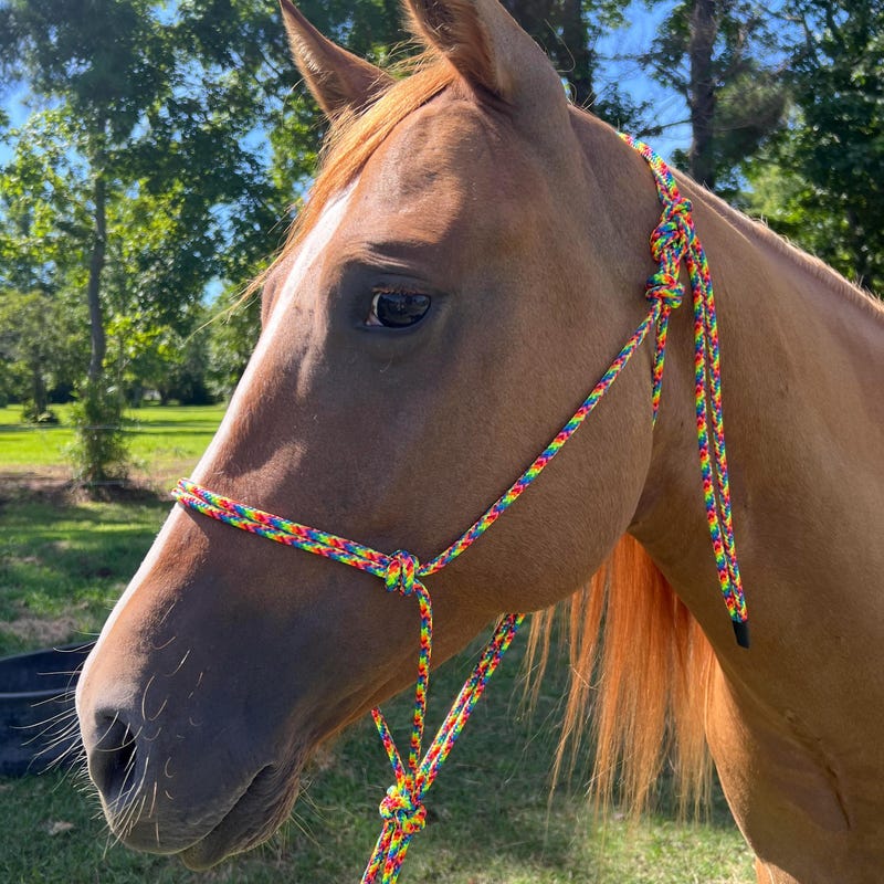 Rope Halter - Etsy