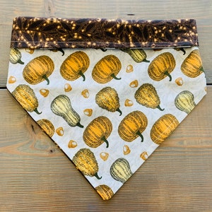 16&quot; Pet Bandana &quot;Harvest&quot; Fall, Pumpkins, Leaves, Thanksgiving