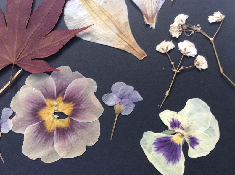 REAL PRESSED FLOWERS,mix