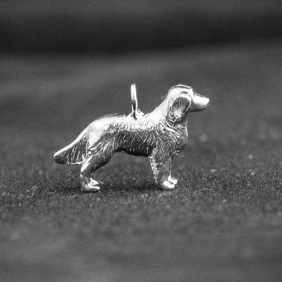 silver golden retriever