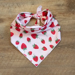 Strawberry on Dots Dog Bandana, Strawberries on Pink, Tie On Dog Bandana