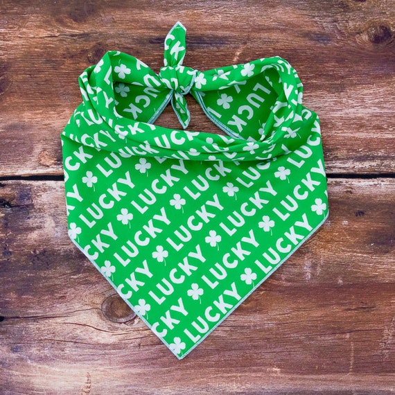 Lucky Dog Bandana, St. Patrick's Day, Shamrocks, Tie On Dog Bandana