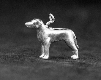 Sterling Silver Rhodesian Ridgeback Charm