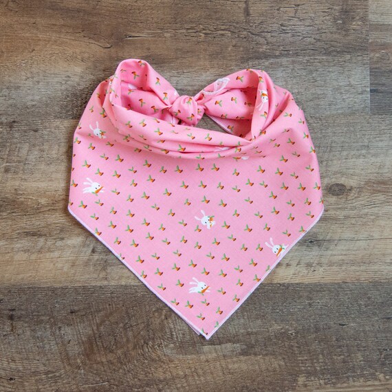 Carrot Patch Dog Bandana, Pink Coral, Easter Tie On Dog Bandana