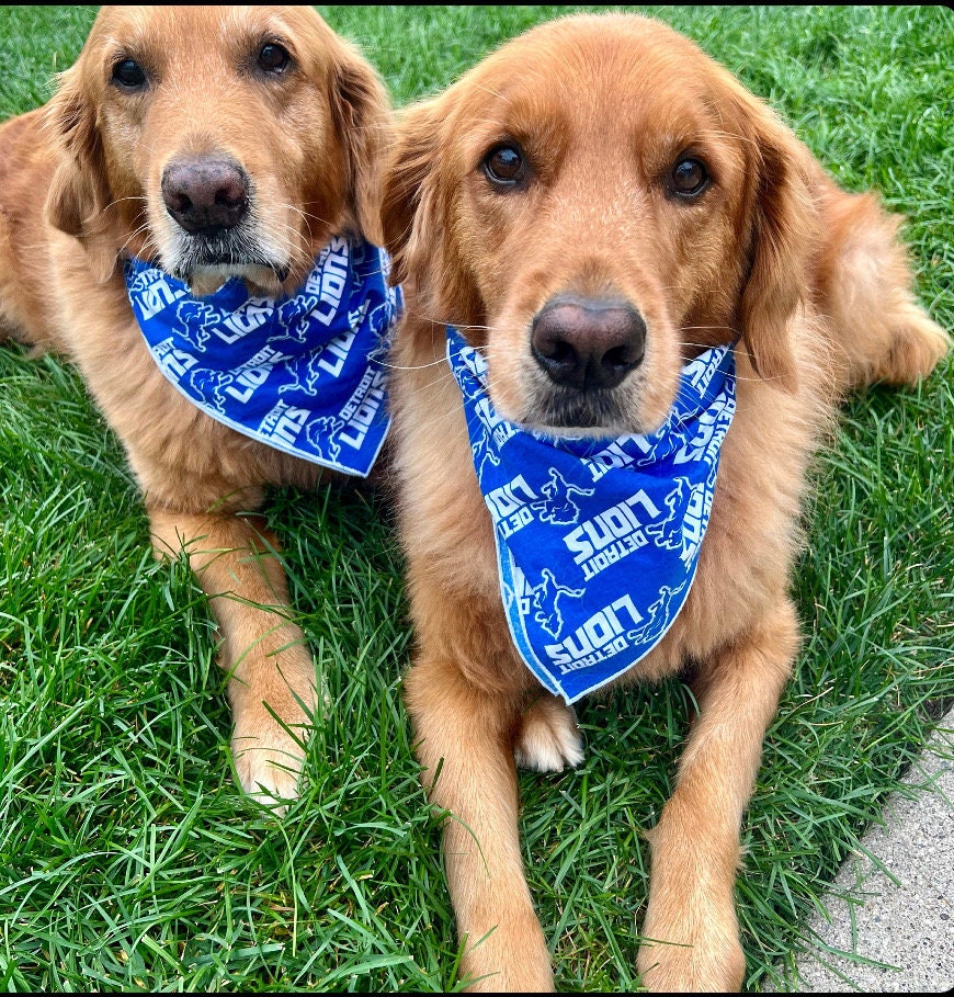 Detroit lions dog bandana sale