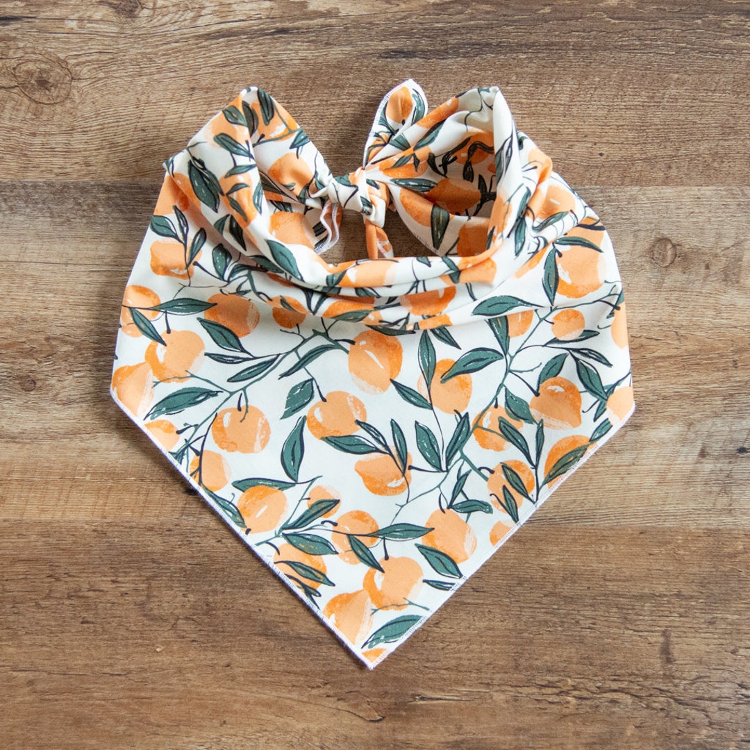 Peaches & Leaves Dog Bandana, Peaches, Tie on Dog Bandana Etsy