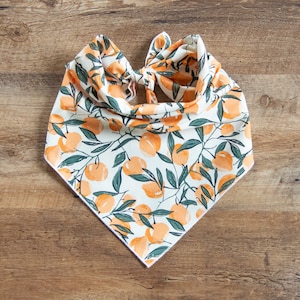 Peaches & Leaves Dog Bandana, Peaches, Tie On Dog Bandana