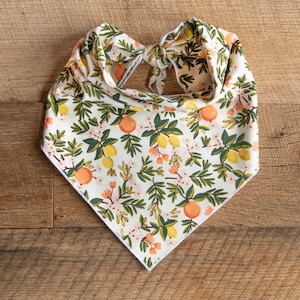Citrus Floral on Cream Dog Bandana, Lemons Oranges Citrus Blossoms, Tie On Dog Bandana