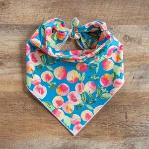 Glohaven Peaches Dog Bandana, Tie On Dog Bandana