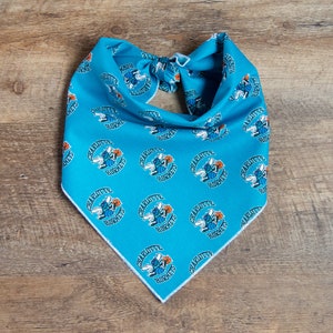 Charlotte Hornets Dog Bandana, Retro Hornets, Tie On Dog Bandana