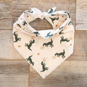 Valentine's Day Dinosaur Dog Bandana