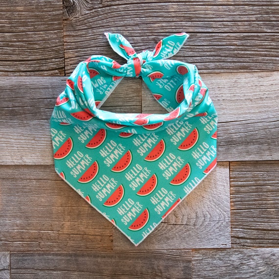 Hello Summer on Teal Dog Bandana, Tie On Dog Bandana