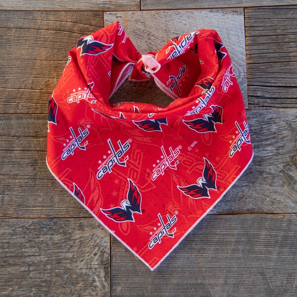 washington capitals neck tie