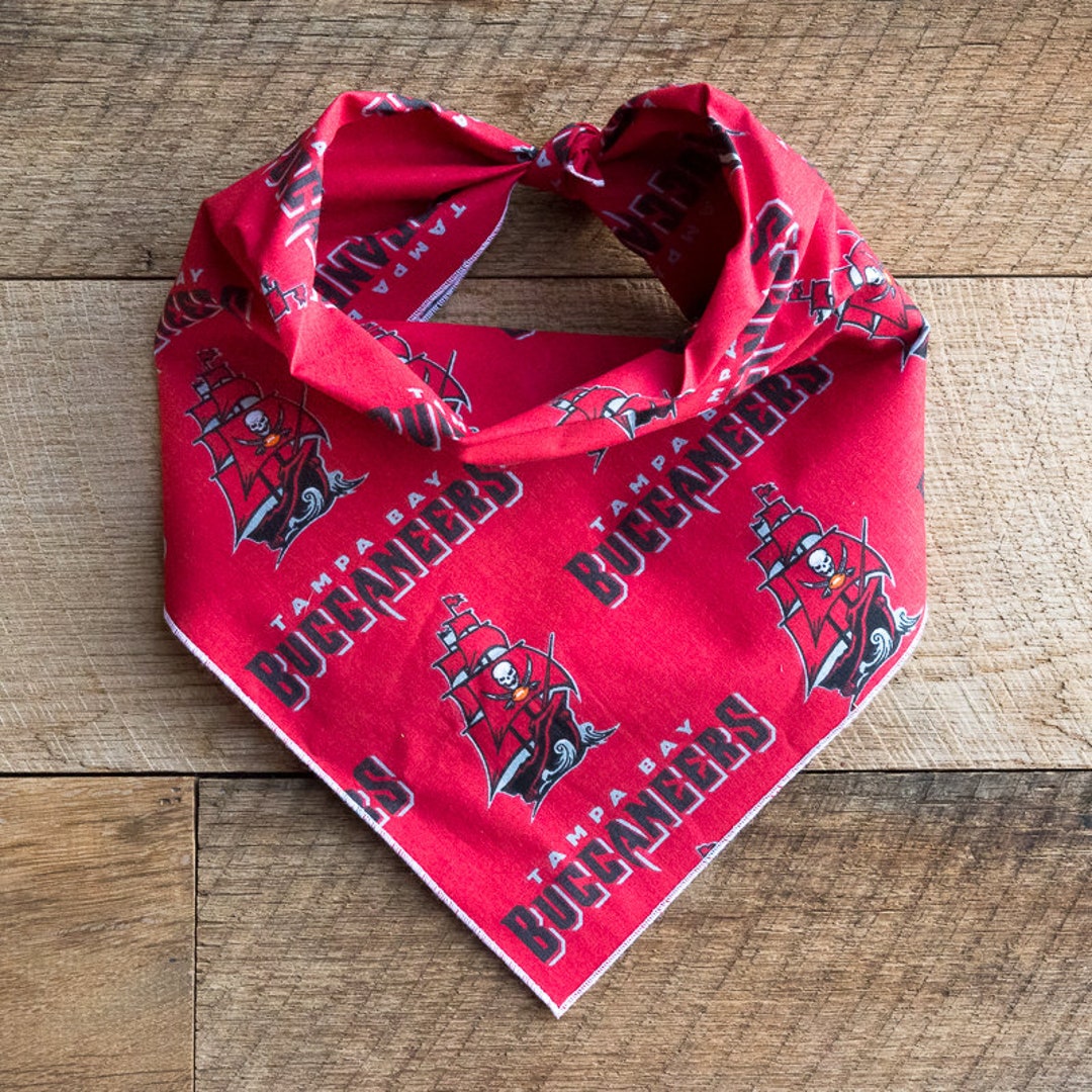 tampa bay buccaneers tie