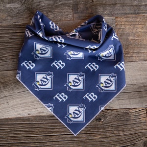 May include: A blue bandana with a white border and a repeating pattern of the Tampa Bay Rays logo and the letters "TB".