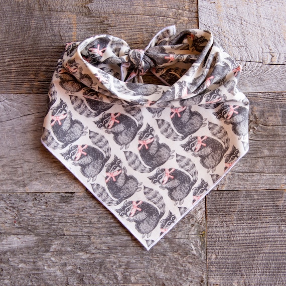 Raccoon Dog Bandana, Raccoons on Natural, Woodland, Tie on Dog Bandana