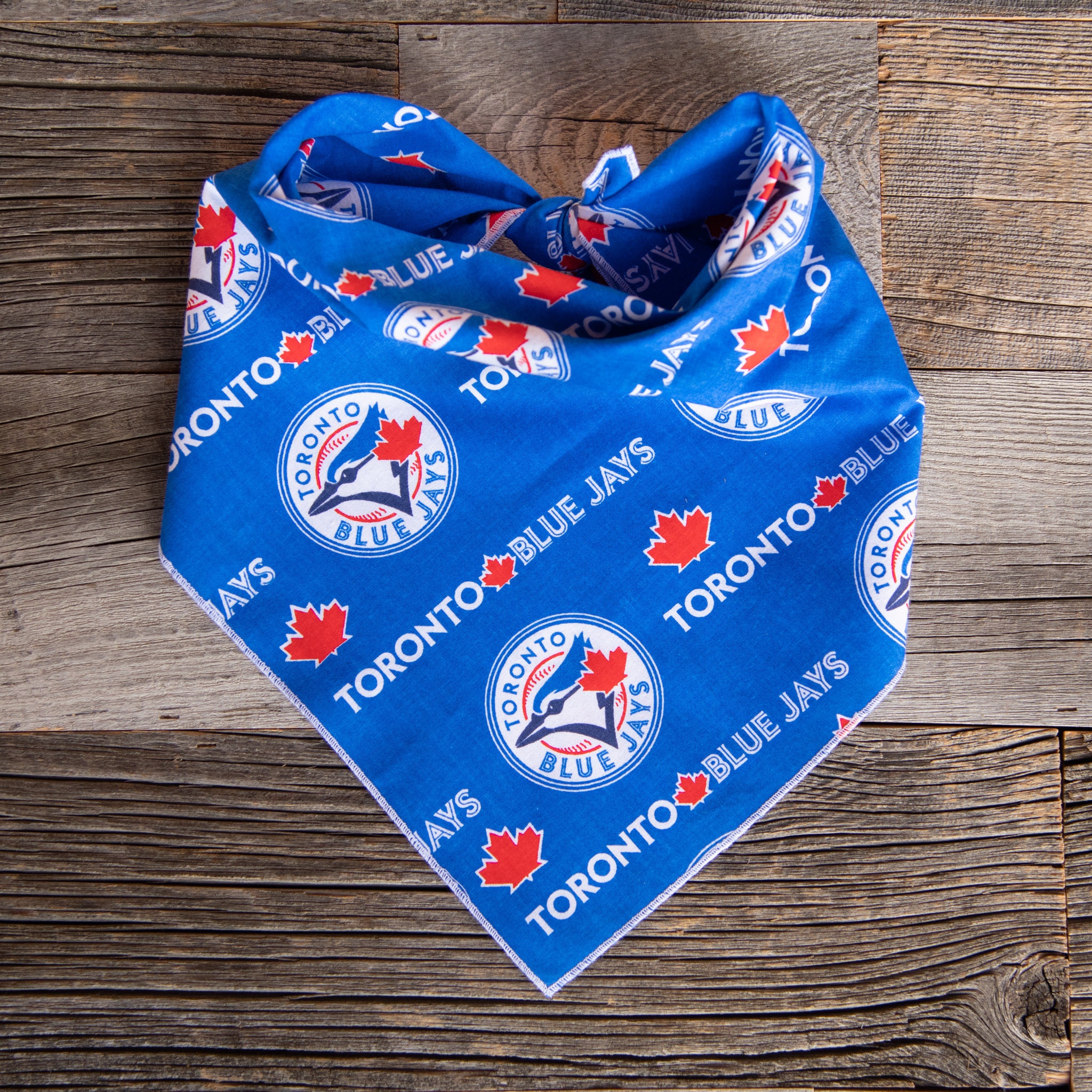 dog bandanas toronto