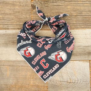 Cleveland Guardians Dog Bandana, Guardians Baseball Tie On Dog Bandana