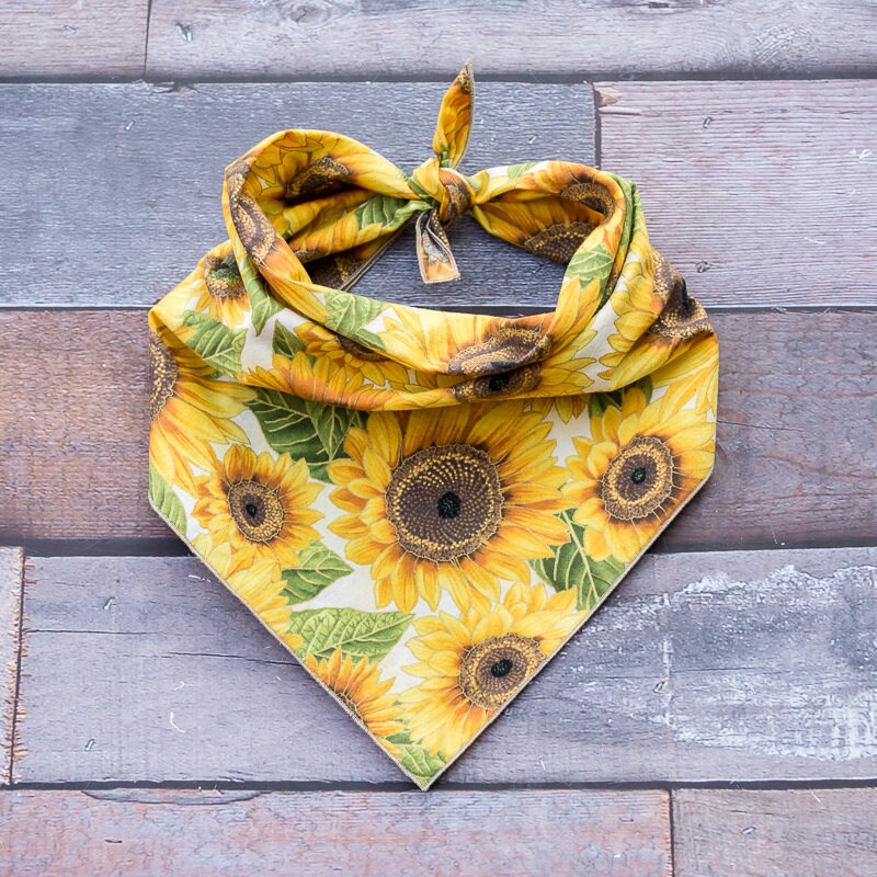 taste of the wild aafco