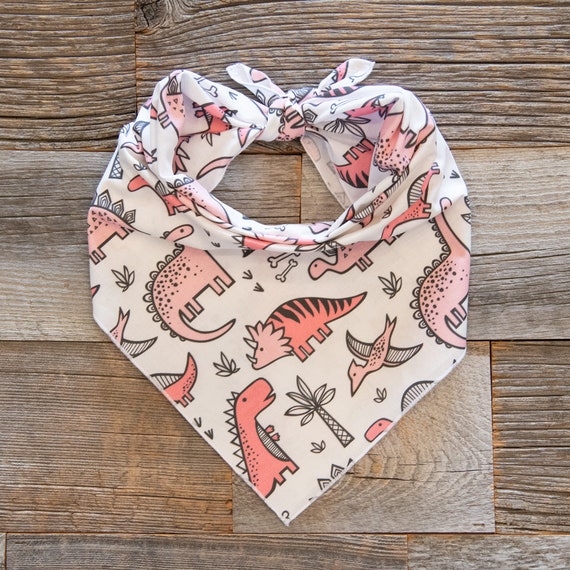 Pink Dinosaur Dog Bandana, Tie On Dog Bandana