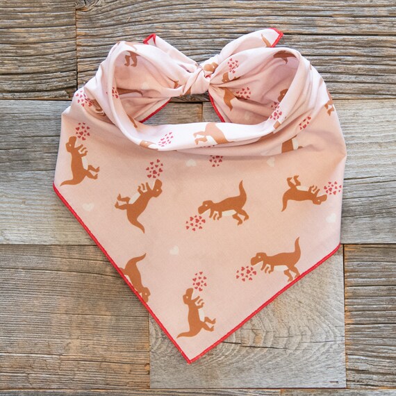 Valentine's Day Dinosaurs on Pink Dog Bandana, Tie One Dog Bandana