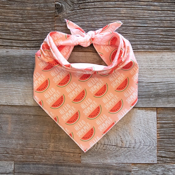 Hello Summer on Peach Dog Bandana, Tie On Dog Bandana