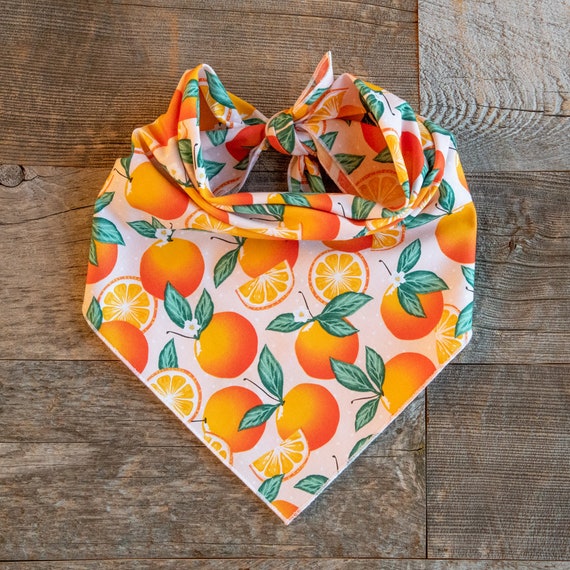 Oranges Dog Bandana, Tie On Dog Bandana