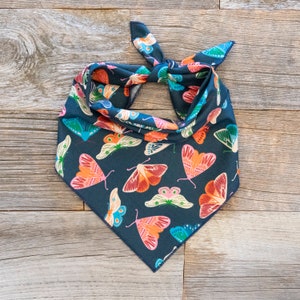 May include: A dark blue bandana with a colorful butterfly pattern. The butterflies are in shades of pink, orange, blue, and green.