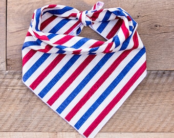 May include: Red, white, and blue striped bandana with a diagonal pattern. The bandana is folded into a triangle shape.