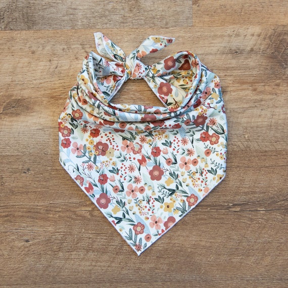 Earth Botanical Flower Dog Bandana in Rust Sage Blue, Tie On Dog Bandana