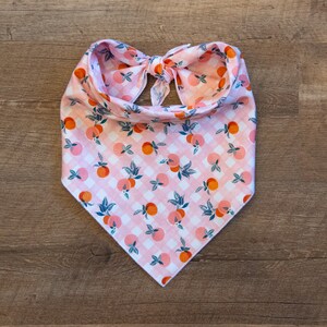 Peaches & Oranges Pink Dog Bandana