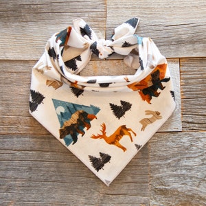 Sunset Mountain Dog Bandana, Mountain Dog, Adventure Dog, Tie On Dog Bandana