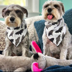 May include: Two small, gray, fluffy dogs wearing white bandanas with a black bat pattern. The bandanas are tied around their necks. The dogs are sitting on a couch with a gray plush toy.