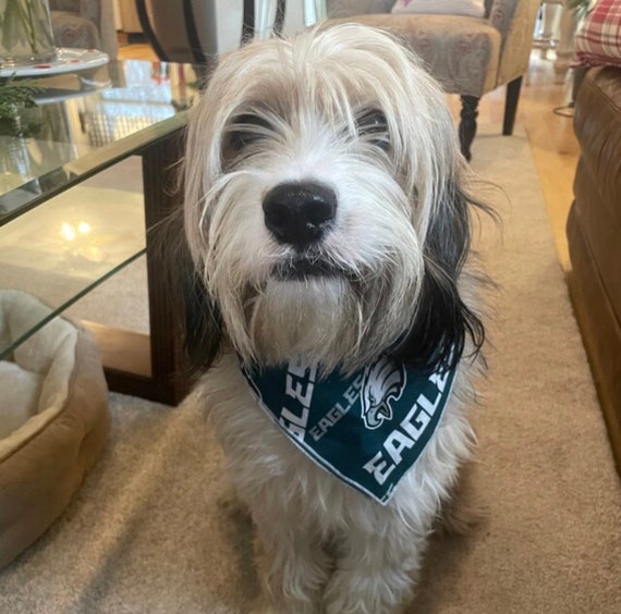 Eagles bandana dogs discount