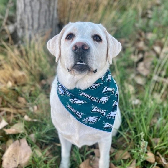 Philadelphia Eagles Dog Bandana - 2 designs - 5 sizes XS - XL