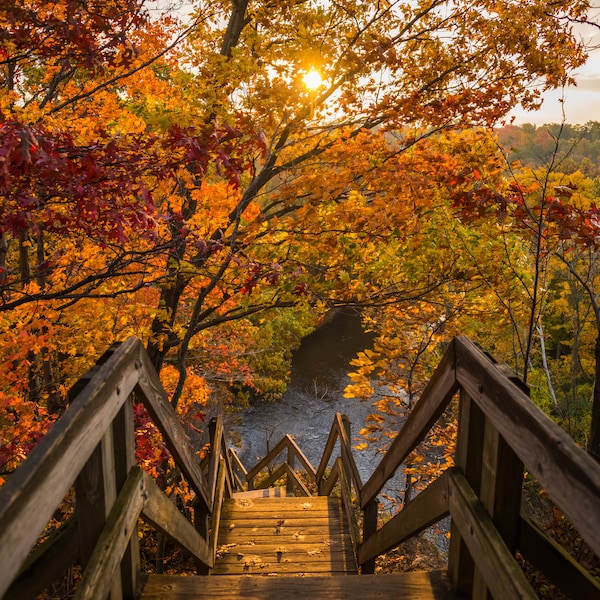 Fort Hill Stairs