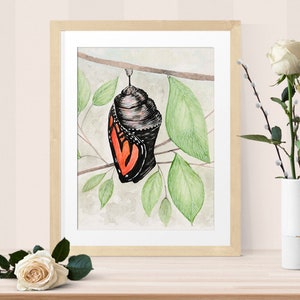 Butterfly wall art – monarch chrysalis