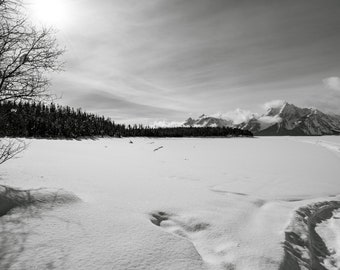 Covered Tracks -  Jackson Hole, Wyoming, Jackson Hole Photography, Grand Tetons, Mountain Photography Mountain Print, Wall Decor