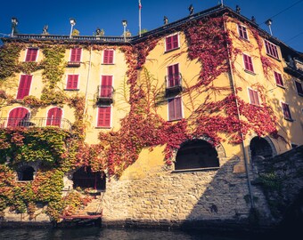 Overgrown, Lake Como, Italy