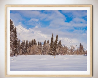 Lone Fox Nap  -  Jackson Hole, Wyoming, Jackson Hole Photography, Grand Tetons, Mountain Photography Mountain Print, Wall Decor