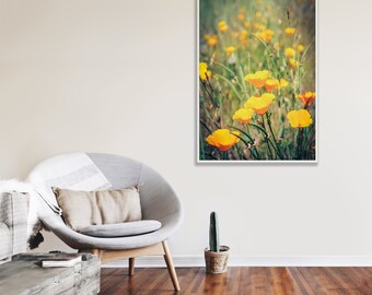 Orange Poppies Summer Sun, Healdsburg, Sonoma County, California, California Art, Poppy Print