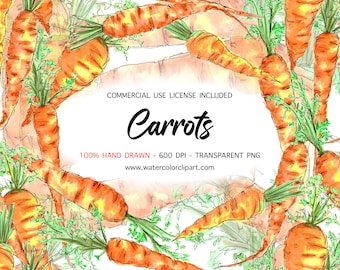Unlimited Commercial Use, Watercolor Carrot Clip Art Transparent PNG, Farm Clip Art, Carrot Art For Prints, Root Vegetable clip art, Easter