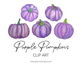 Watercolor Purple Halloween Pumpkin Clip Art PNG Files For Commercial Use, Watercolor Autumn Images for Teachers